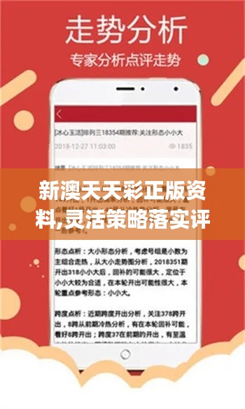 2024年12月 第215页