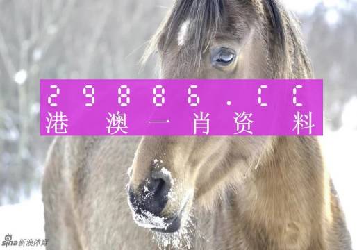 澳门精准一肖一码100%精准|精选解释解析落实