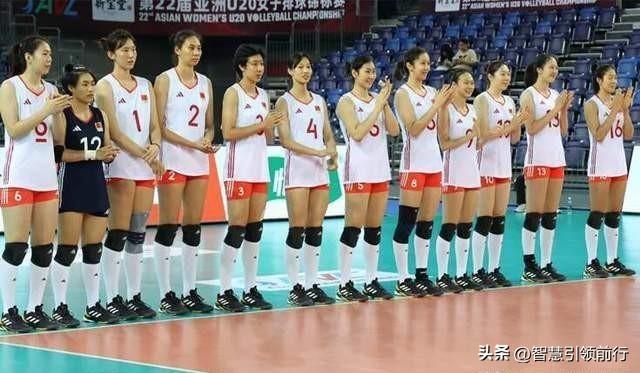 2024澳门天天开好彩大全免费|精选解释解析落实